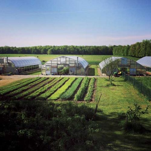 Women in Sustainable Agriculture